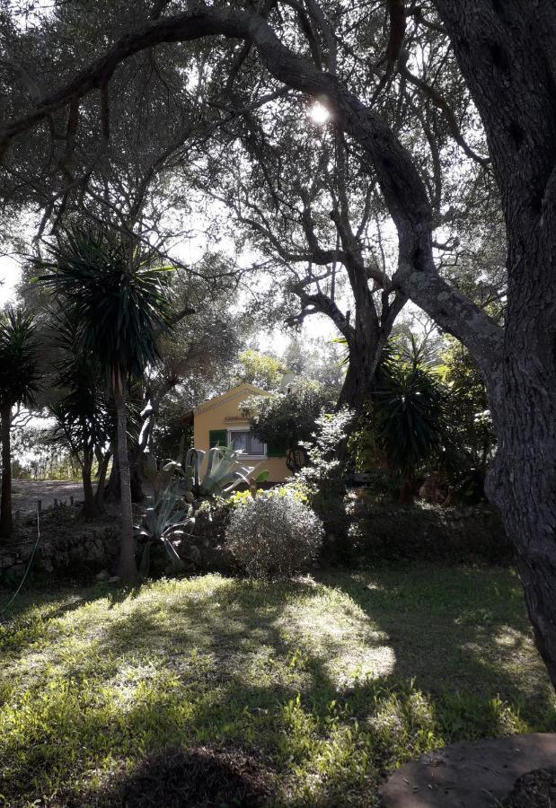 House In The Olive Garden Apartment Agios Ioannis  Exterior photo