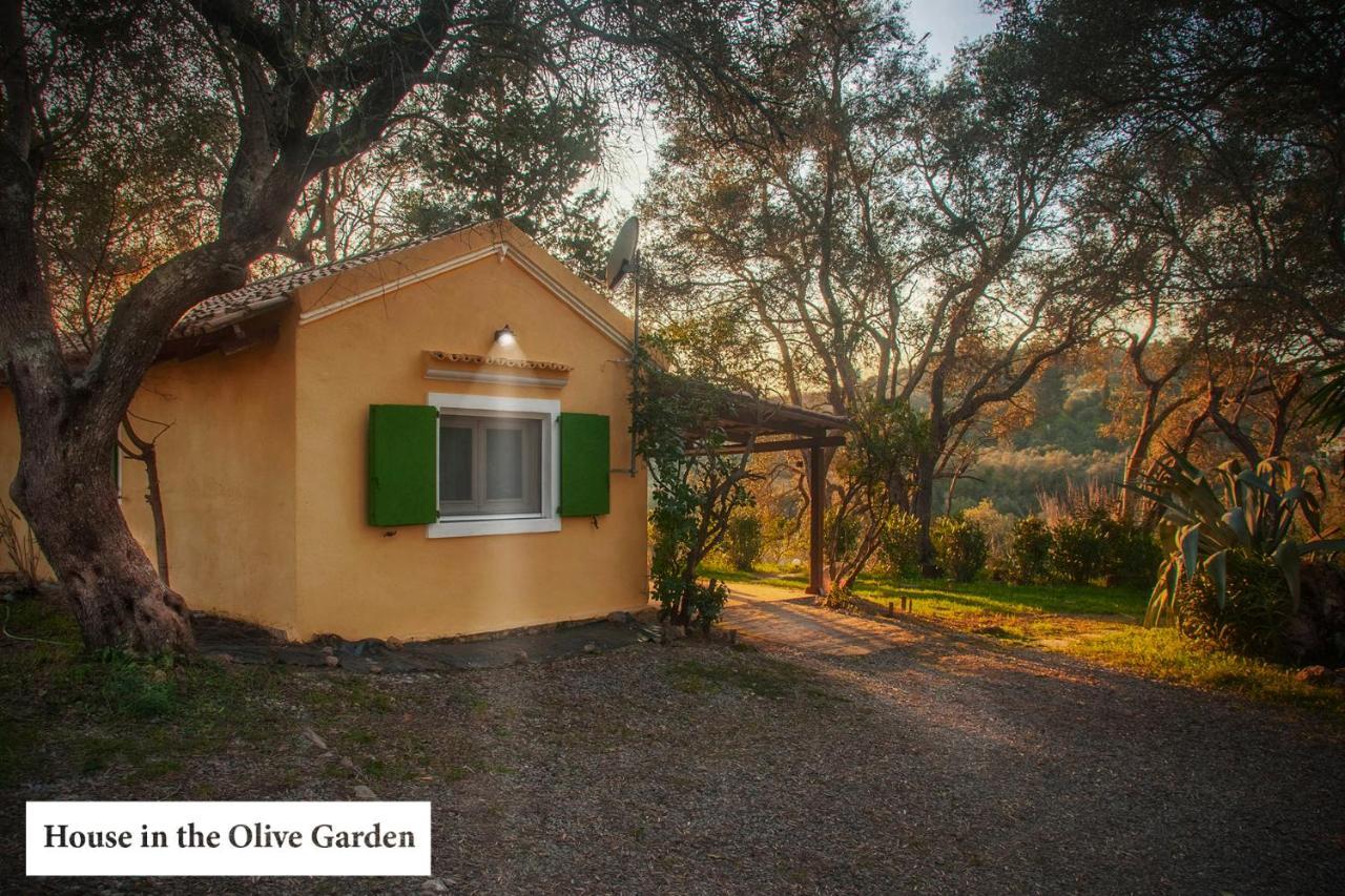 House In The Olive Garden Apartment Agios Ioannis  Exterior photo
