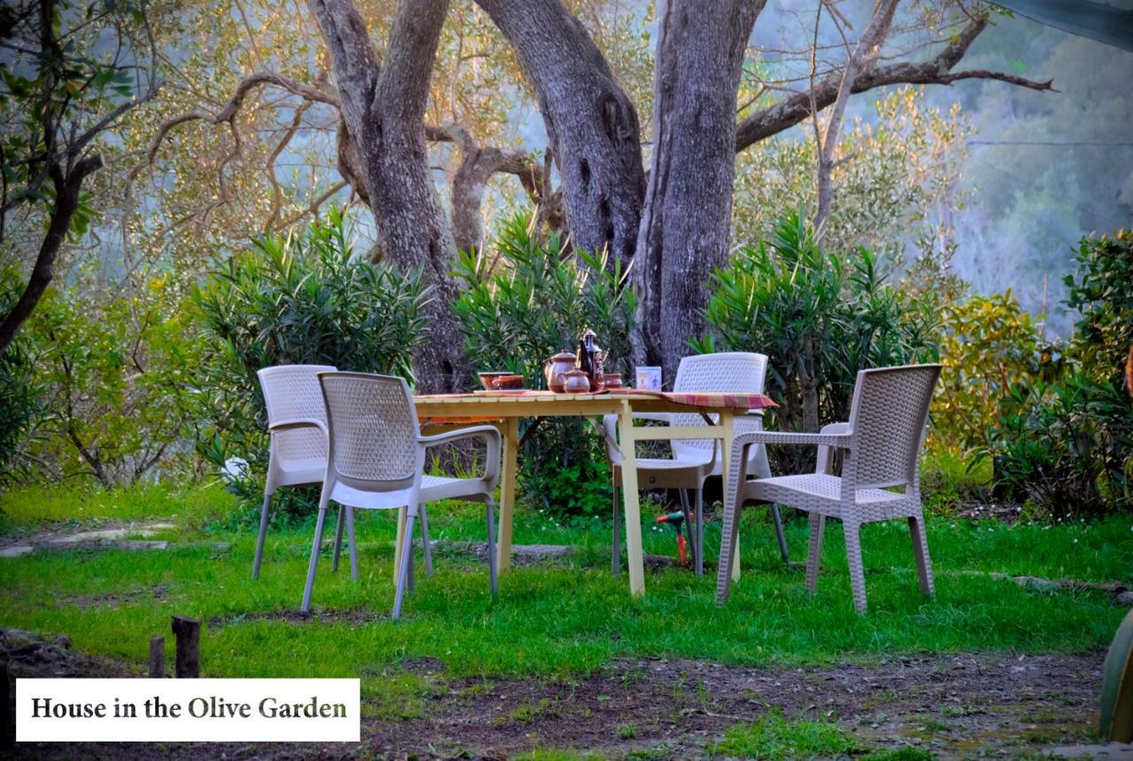 House In The Olive Garden Apartment Agios Ioannis  Exterior photo