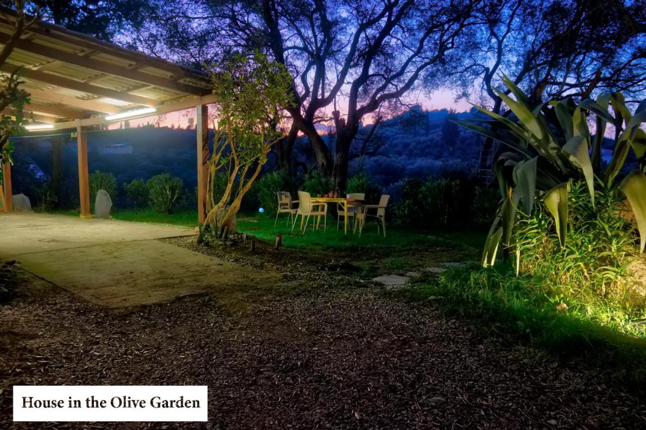 House In The Olive Garden Apartment Agios Ioannis  Exterior photo