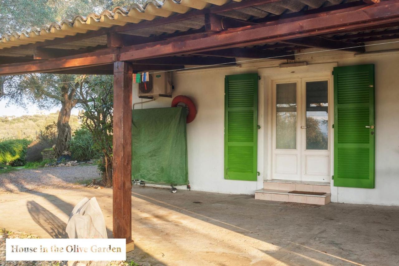 House In The Olive Garden Apartment Agios Ioannis  Exterior photo