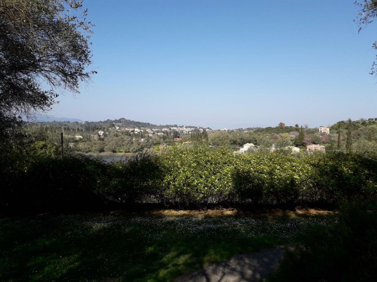 House In The Olive Garden Apartment Agios Ioannis  Exterior photo